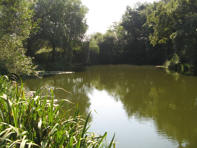 Pond at West Town Farm