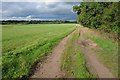 SJ5960 : Footpath and track at Alpraham Green by Philip Halling