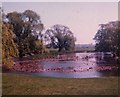 Oak Pond, Home Park