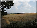 Farmland near Great Houghton