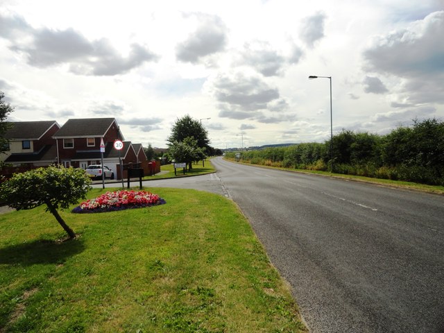 Road along the edge of Urpeth Grange