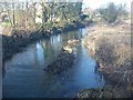 River Rib above Ware Park Road bridge, Bengeo