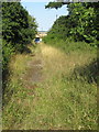 Footpath along the old Newport Pagnell Road