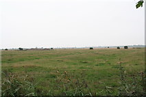 TF4393 : Ridge and furrow field by Grange Farm by Chris