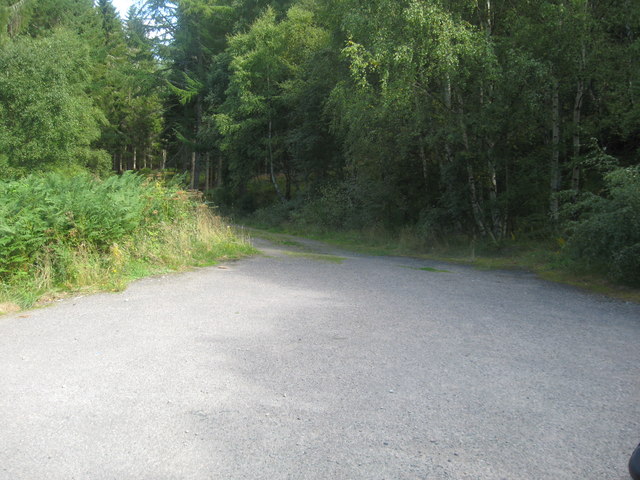 Track in to Logie Wood