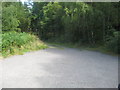 Track in to Logie Wood