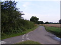 TM0982 : Darrow Lane, Bressingham Common by Geographer