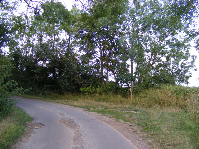 Darrow Wood Lane & footpath