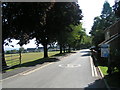 Driveway into the Maiden Beech Academy