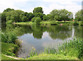 Bolton-upon-Dearne - Brickyard Ponds (west pond)