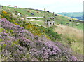 Stile on Hebden Royd FP25