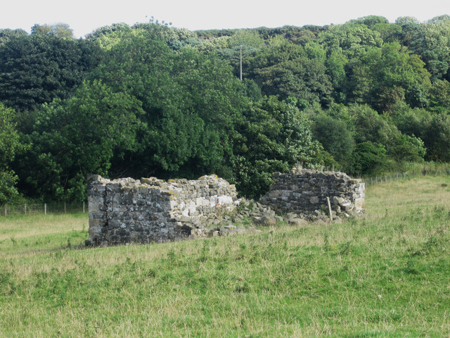 Ruined building in a field near Craster Tower