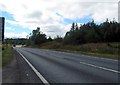 The A95 heading for Carrbridge