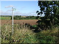 Footpath towards Caunton