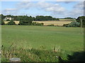 Farmland off Maplebeck Road