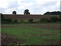 Farmland, Brickfield Farm