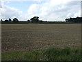 Farmland off Kirklington Road