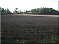 Farmland south of Kirklington Road