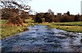 River Mimram at Panshanger