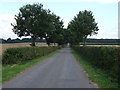 Track towards Rufford Stud Farm