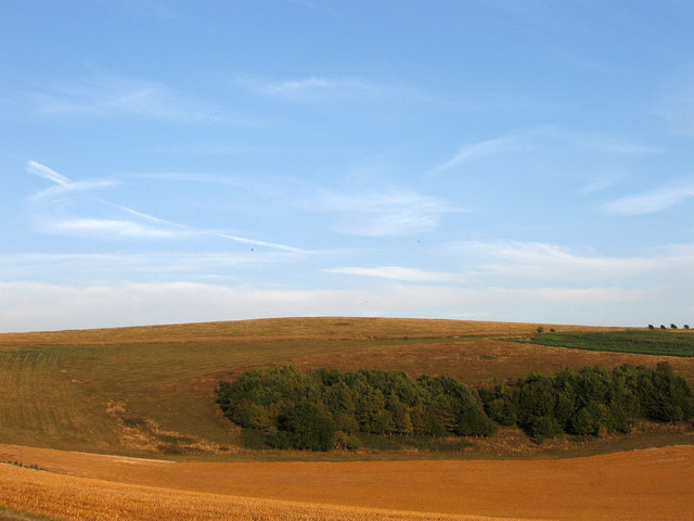 Blackpatch Hill