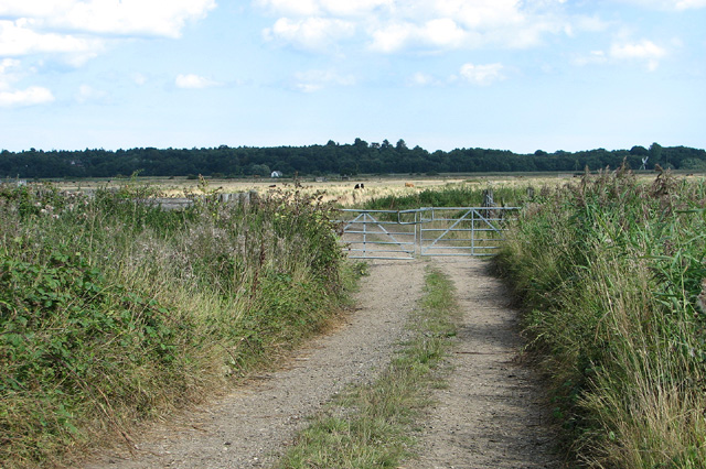 Farm Track Into Marsh Pastures © Evelyn Simak :: Geograph Britain And ...