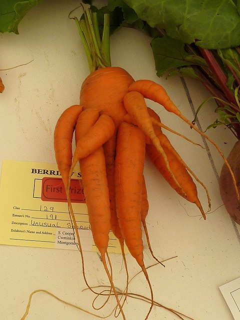 Unusual shaped vegetable