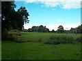 Sports Fields near Abbotsholme School