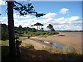 NT6478 : East Lothian Landscape : I Don't Like It Sarge, It's Too Quiet..... by Richard West