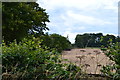 View across fields towards Avenue Cottages