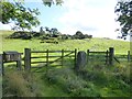 One substantial gatepost