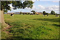 Townfield Farm near Wettenhall