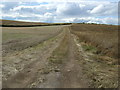 Farm track off Common Lane