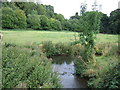 River Meden, Pleasley Vale