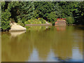 Savernake Pond, Bracknell