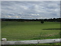 Farmland, Woodnook Farm