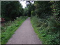 Path beside the Chesterfield Canal