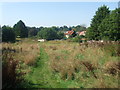 Looking down Town Meadow, Clavering