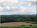 View from Law Hill