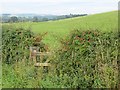 Overgrown gate