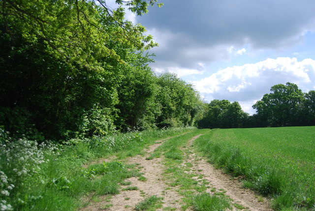 Track along a woodland edge © N Chadwick cc-by-sa/2.0 :: Geograph ...