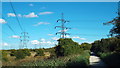TQ6973 : Pylons on Shorne Marshes by Malc McDonald