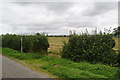 Public footpath off Cophill Lane