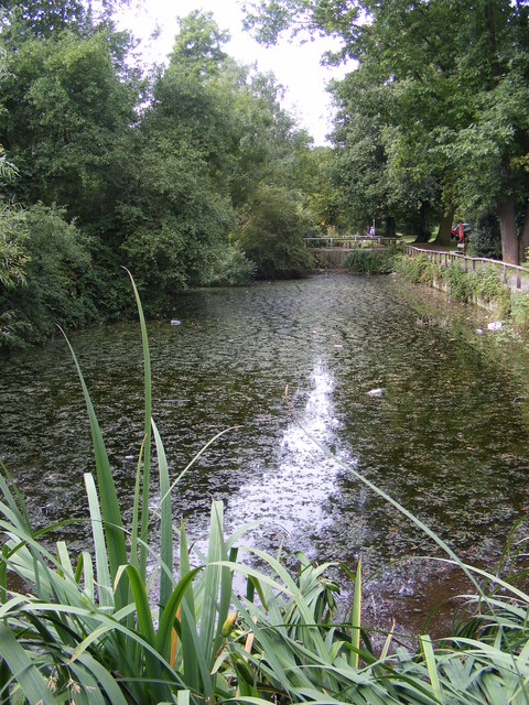 Pond at Great Baddow Recreation Ground