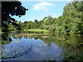 River Misbourne. Pond at Deep Mill