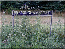 TM0981 : Bressingham Road sign by Geographer