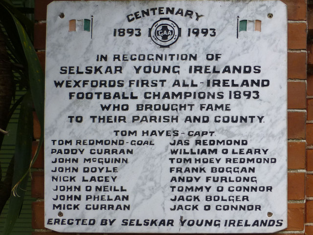 Selskar Young Irelands plaque, Wexford