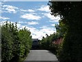 The road to Gleddoch House climbing out of Langbank