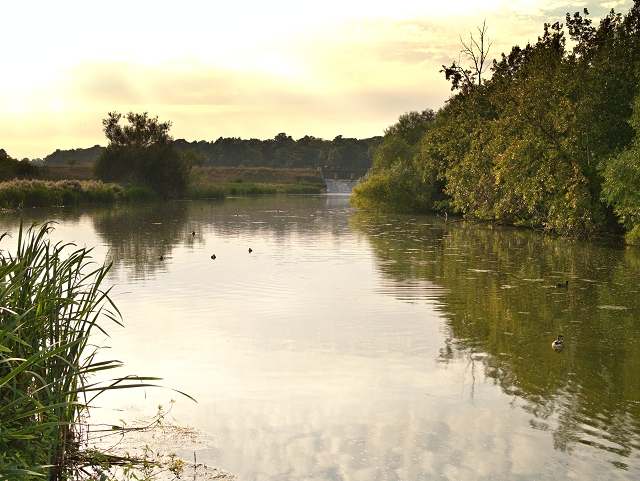 River Poulter © David Dixon :: Geograph Britain and Ireland