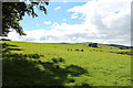 Farmland at Traboyack